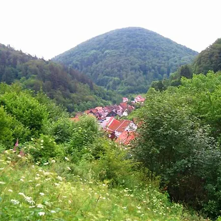 Geraeumiges Haus In Zorge Prázdninový dům