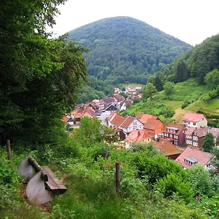 Geraeumiges Haus In Zorge * Zorge